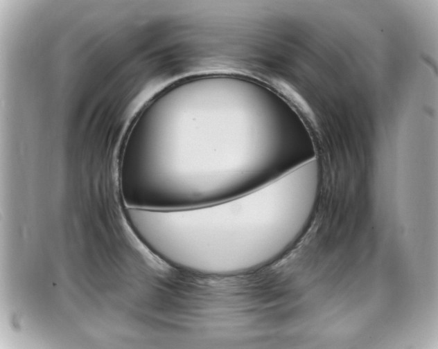 X0000099311380200805020723