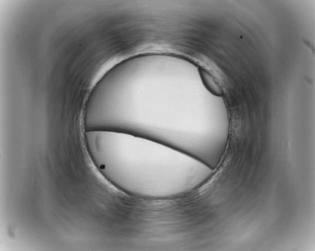 X0000099311382200805020723