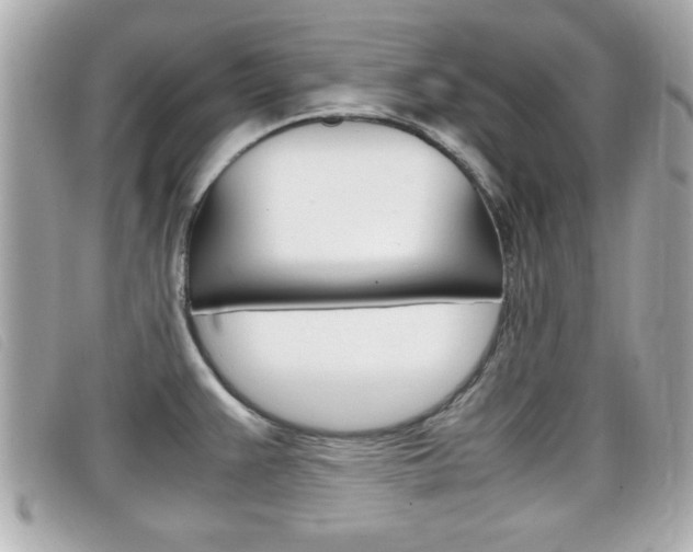 X0000099311383200805020723