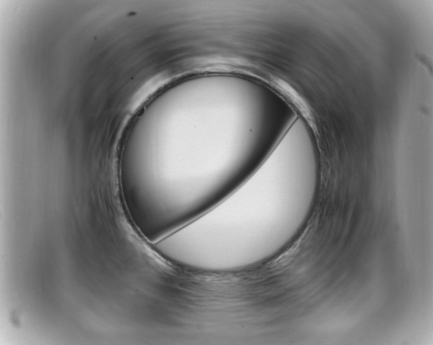 X0000099311384200805020723