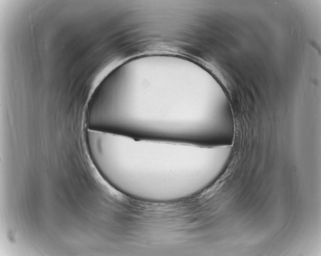 X0000099311387200805020723