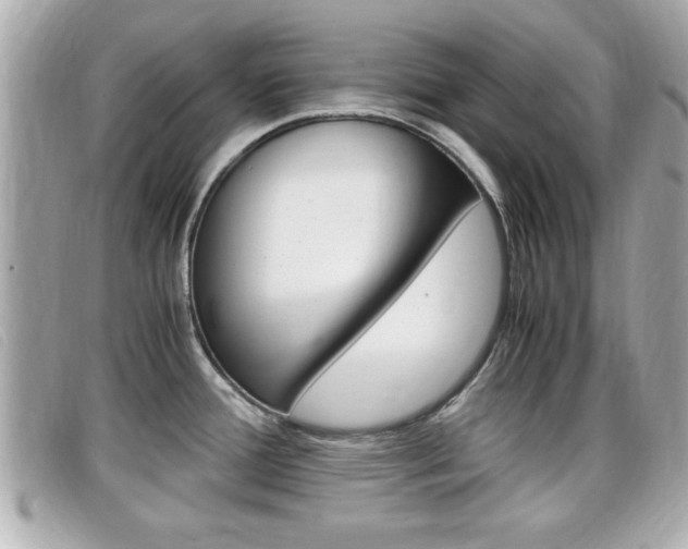 X0000099311388200805020723