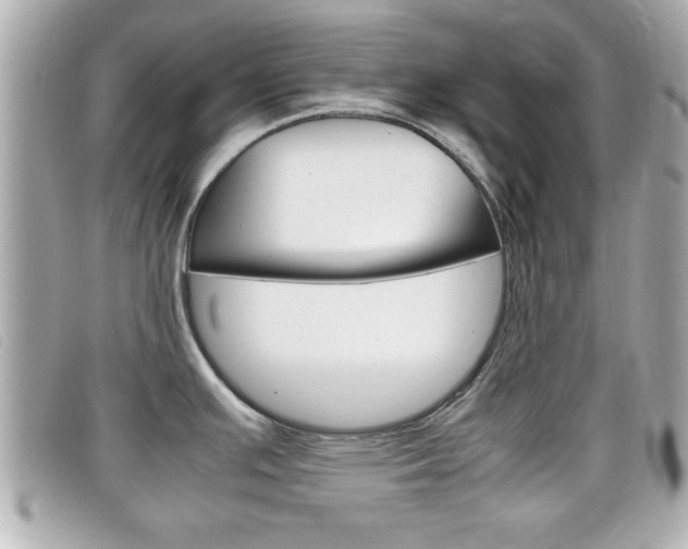 X0000099311391200805020723