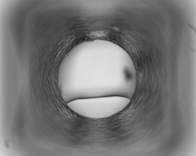 X0000099311393200805020722