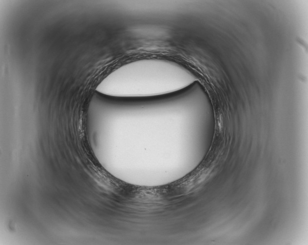 X0000099311396200805020722