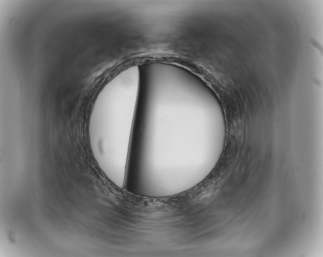 X0000099311398200805020722