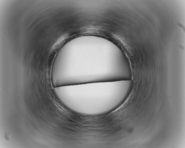 X0000099311403200805020722