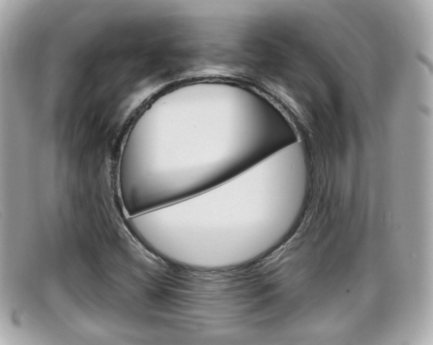 X0000099311404200805020722