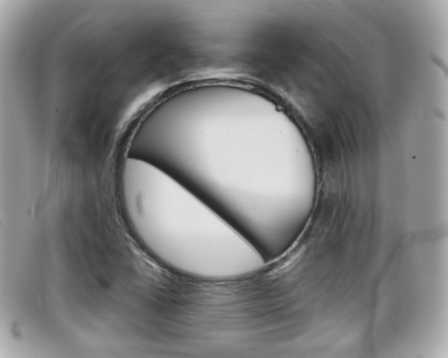 X0000099311406200805020722