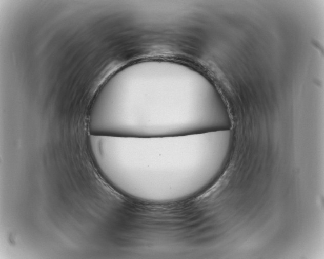 X0000099311409200805020722