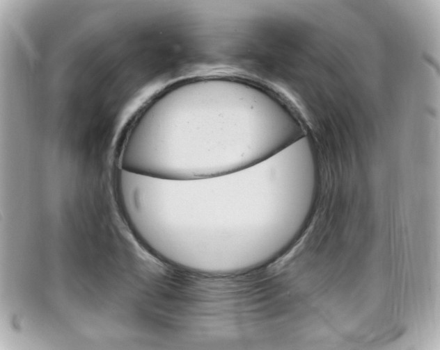 X0000099311414200805020722