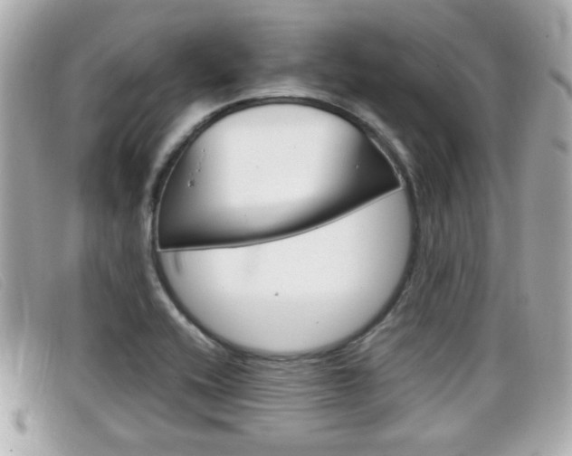 X0000099311416200805020722