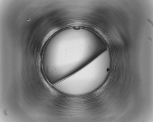 X0000099311418200805020722