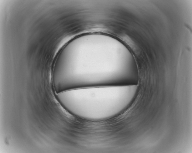 X0000099311420200805020722