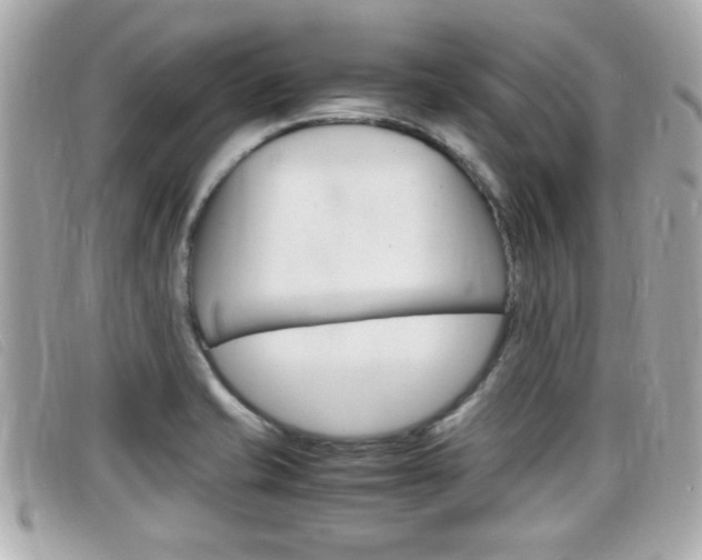 X0000099311421200805020722