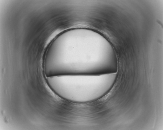 X0000099311422200805020722