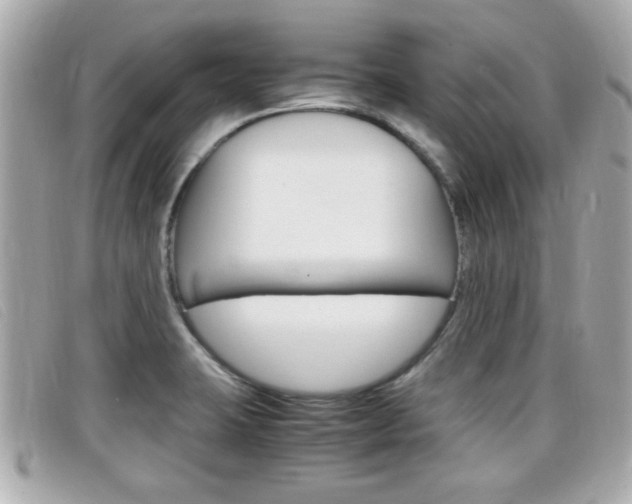 X0000099311423200805020722