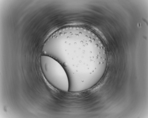 X0000099311425200805020722