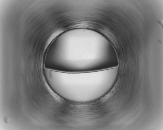 X0000099311426200805020722