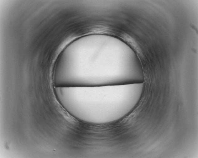 X0000099311427200805020722
