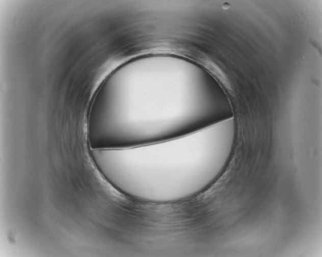 X0000099311428200805020722
