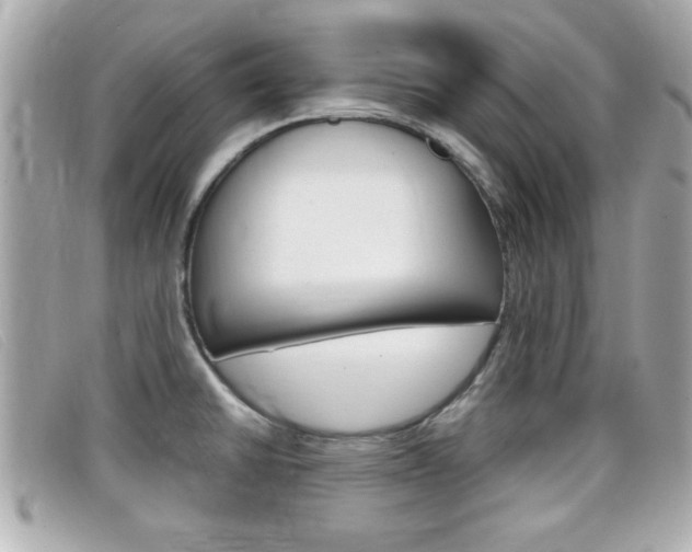 X0000099311430200805020722