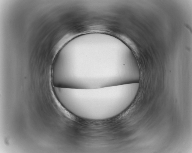 X0000099311431200805020722