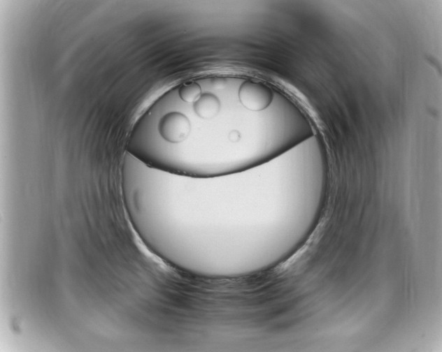 X0000099311433200805020722