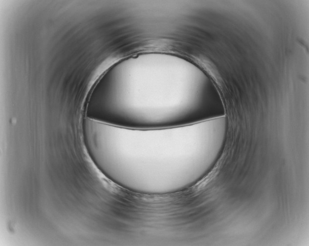 X0000099311434200805020722