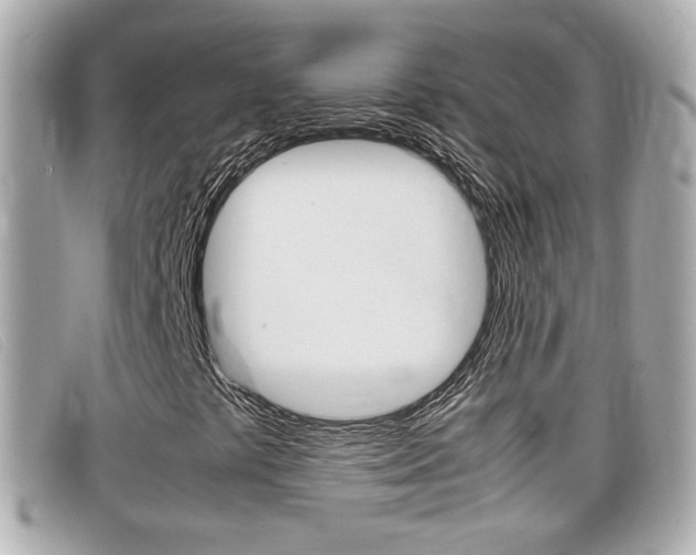 X0000099311441200805020722