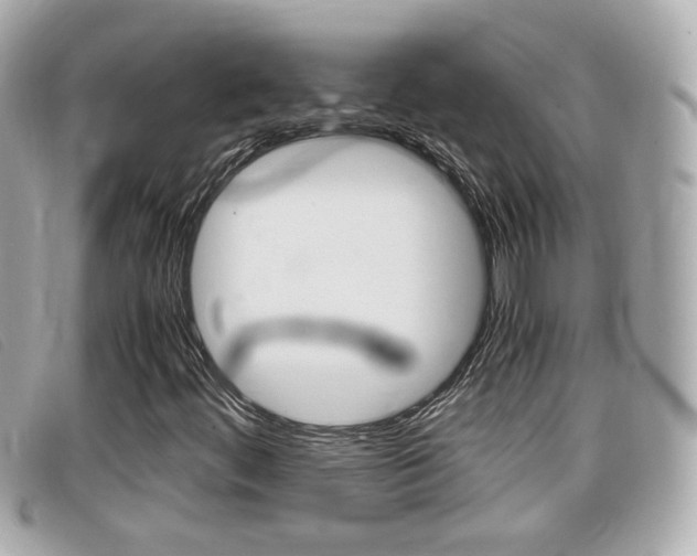 X0000099311444200805020722