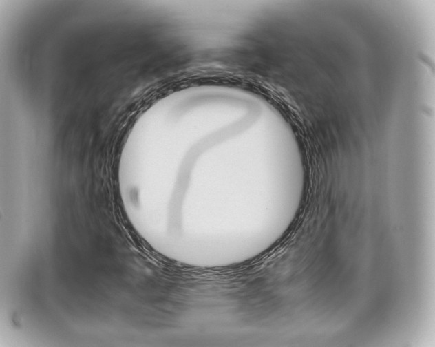X0000099311445200805020722