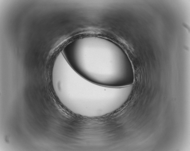 X0000099311448200805020722