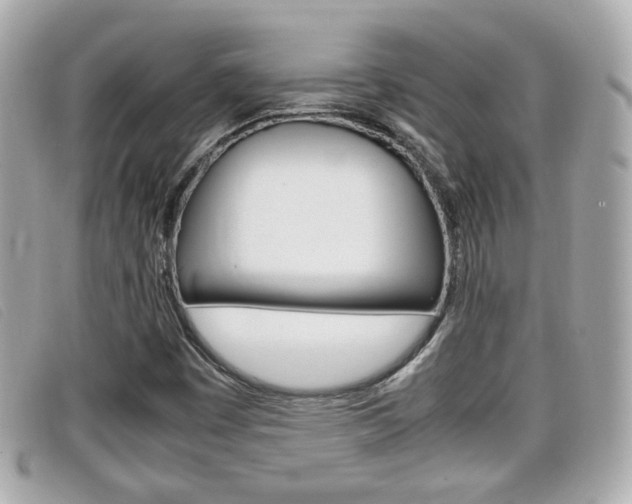 X0000099311449200805020722