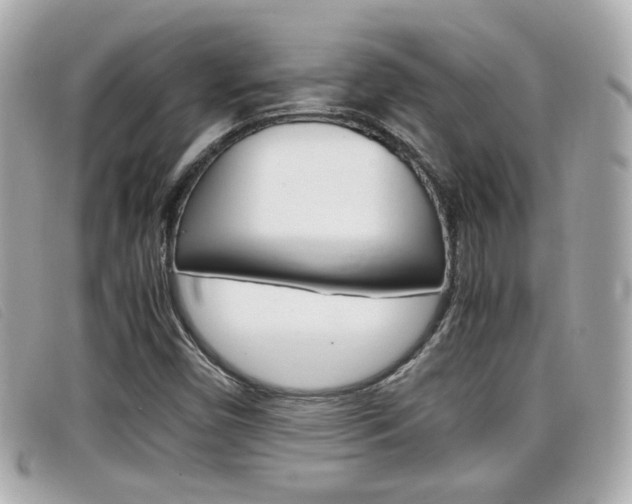 X0000099311450200805020722