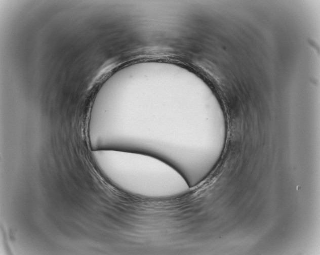 X0000099311451200805020722