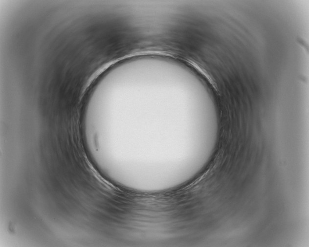X0000099311452200805020722