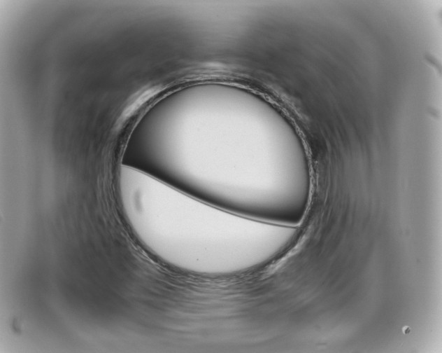 X0000099311453200805020722