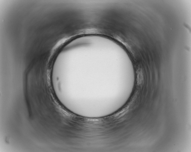 X0000099311454200805020722