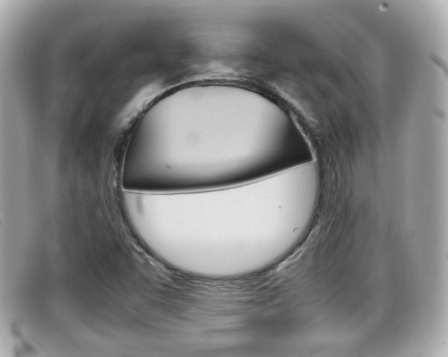 X0000099311455200805020722