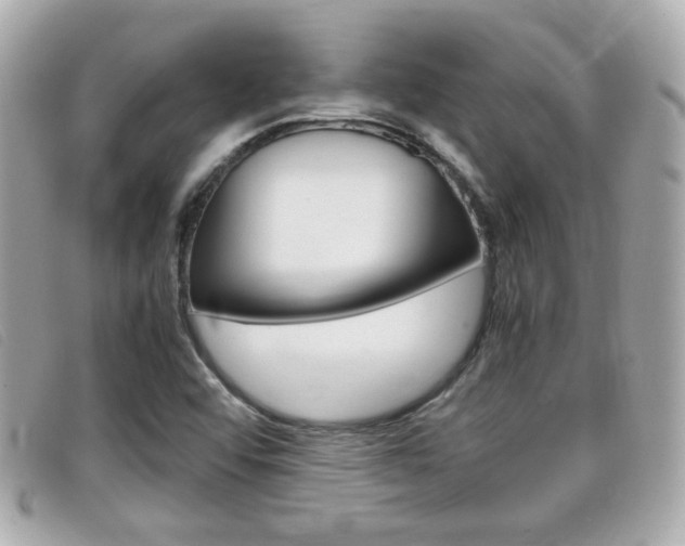 X0000099311456200805020722