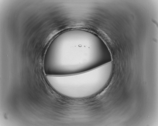 X0000099311457200805020722