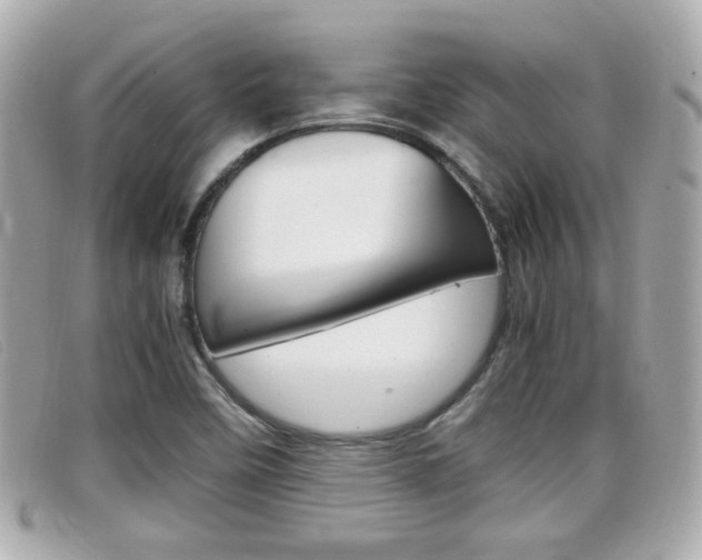 X0000099311458200805020722