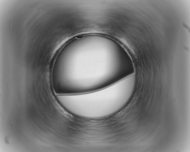 X0000099311460200805020722