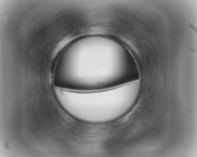X0000099311461200805020722