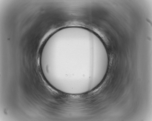 X0000099311462200805020722