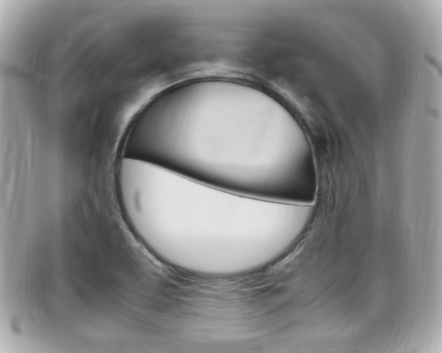 X0000099311463200805020722