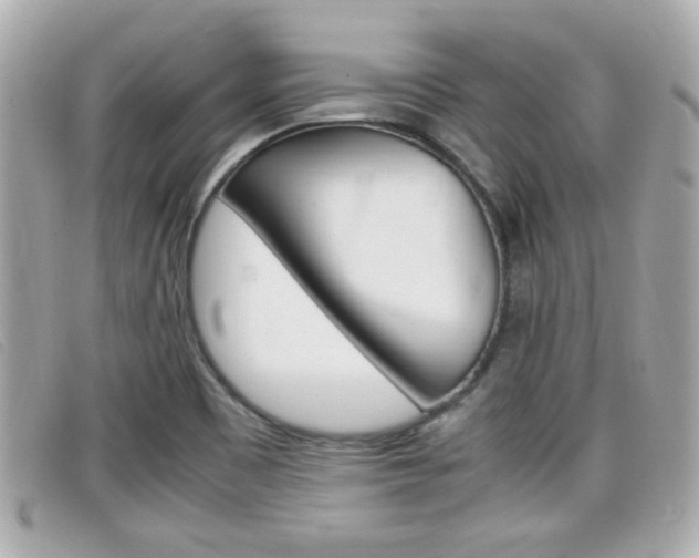 X0000099311465200805020722