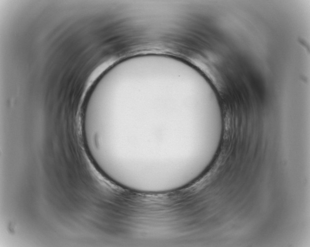 X0000099311466200805020722