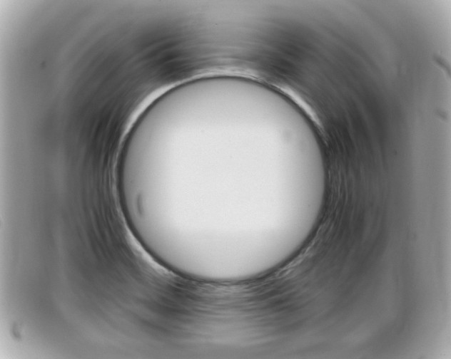 X0000099311468200805020722